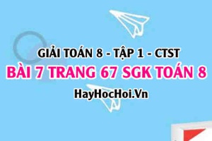 Giải bài 7 trang 67 Toán 8 Tập 1 SGK Chân trời sáng tạo